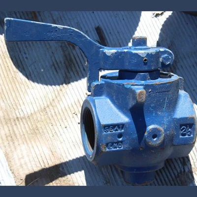 Homestead 2.5 in. Plug Valve