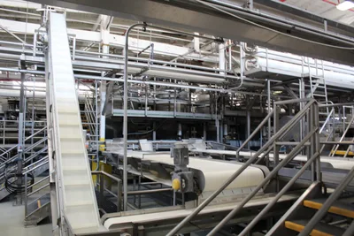 Belt Sorting Conveyor 1
