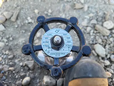 3/4" Class 800 Gate Valve API 602