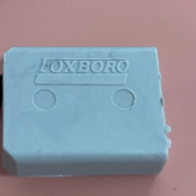 NEW Foxboro GO114SS