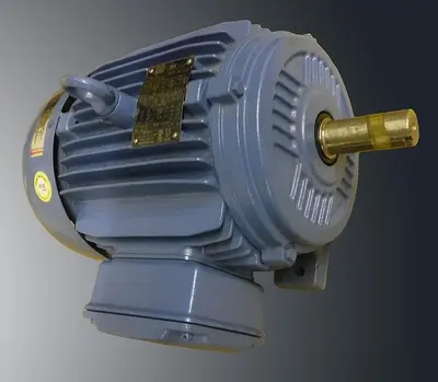 WEG W21 SEVERE DUTY ELECTRIC MOTOR