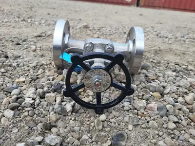 2019 1" Class 600 Globe Valve API 602