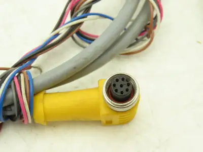 Turck WKS 6T-2 Cable Cord Wire 8-Pin 6' Long Lot of 2