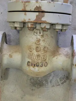 USED TY VALVE CORPORATION 351RF005