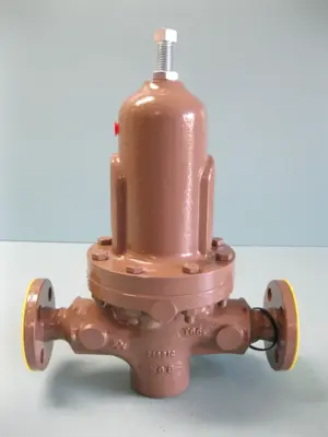 NEW Cashco D15-5XX7-4CX55156E