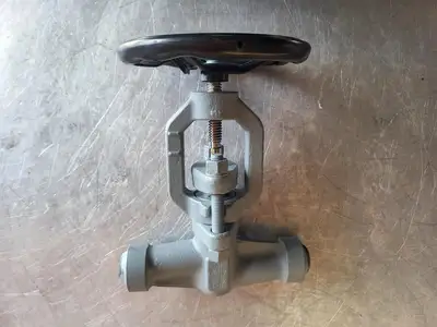 1" Class 900 Gate Valve B16.34