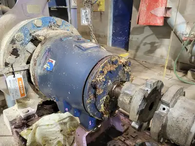 USED GOULDS 3175M