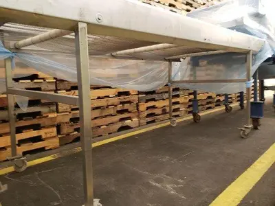 10' Wire Belt Inspection Conveyor