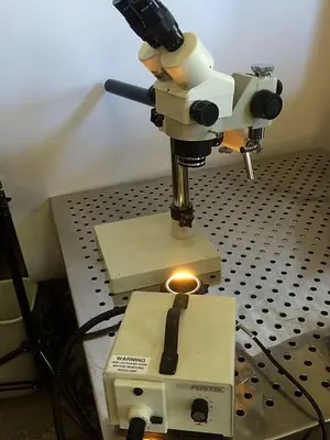 NuLine Microscope w/ Fostec Fiber Optic Illuminator, & much More!