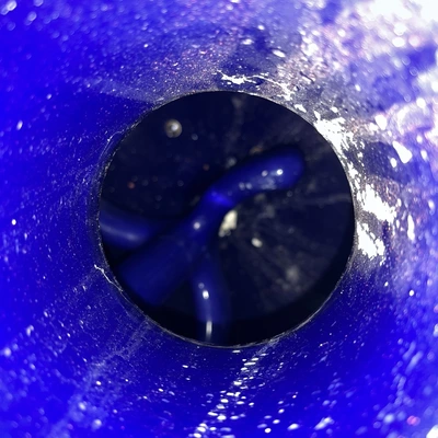 50 L GLS Pfaudler Reactor