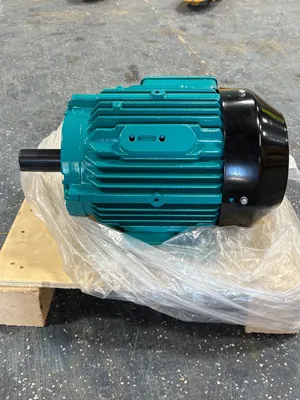 BROOK CROMPTON WP-DF182TS-M2 ELECTRIC MOTORS | ESS Industrial Equipment Sales (5)