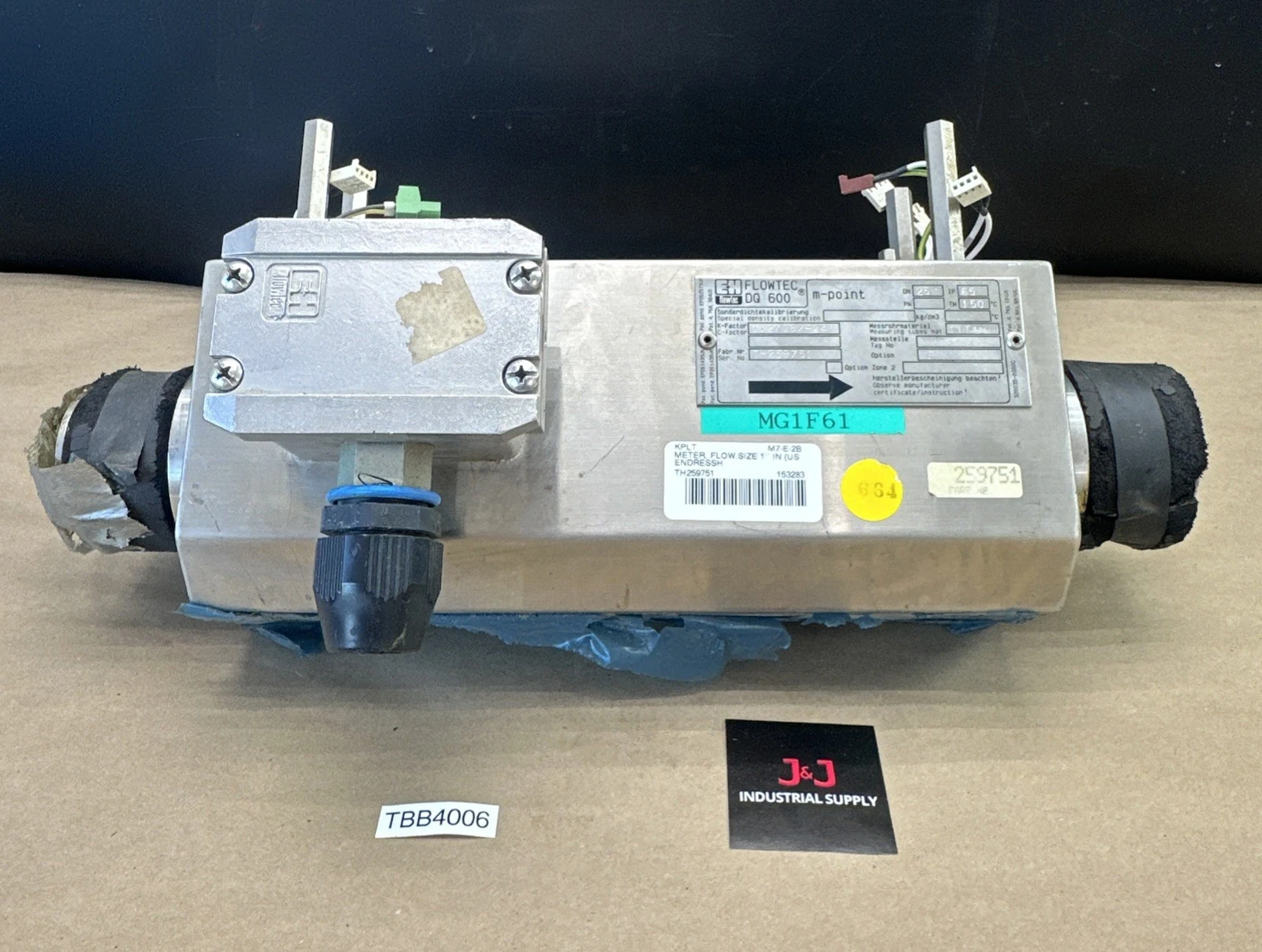 USED Endress+Hauser TH259751