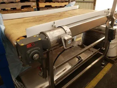 7' Berry Inspection Conveyor