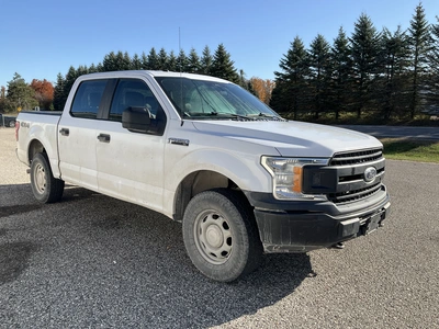 Used 2019 FORD F150 Pickup Trucks Michigan US | Miedema Asset Management Group #1568246