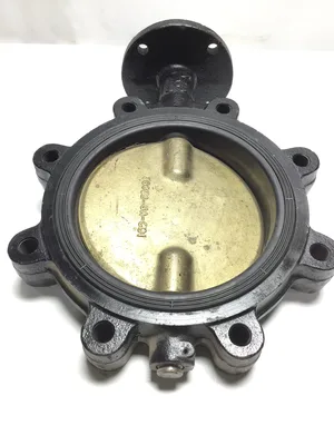 38032-UA-C91 8″ Butterfly Valve