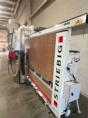 Used 2024 STRIEBIG STANDARD S (TRK1-5168) Woodworking Panel Saws Ohio US | MachineryMax #1334474