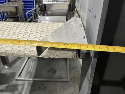 Scalloped Belt Incline Conveyor with Hopper
