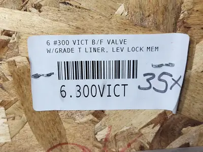 New | in-Stock 2024 VICTAULIC 300MS Valves/Fittings British Columbia CA | Lenmark #1440768