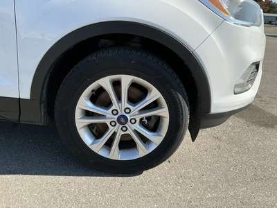 Used 2017 FORD ESCAPE Utility Vehicles Michigan US | Miedema Asset Management Group #1732721