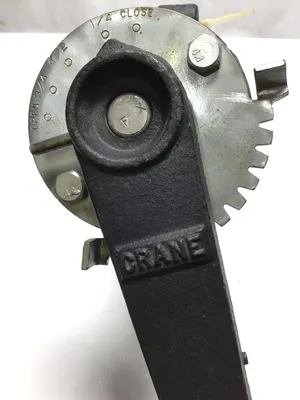 Crane 167898785 Lug Style Butterfly Valve 5″