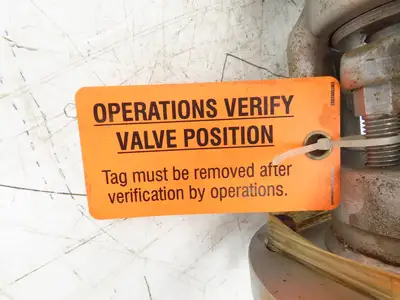 Edward D66128ML Univalve Y-Pattern Globe Valve 4" Butt Weld 4595psi B16.34SPL