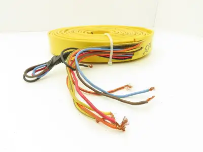 Festoon Cable Outdoor E60362H Multi-Conductor Flat Cable 12 Wire 16AWG 600V 30'
