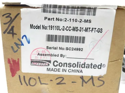 NEW GE 19110L-2-CC-MS-31-MT-FT-GS SAFETYVALVE 2-110-2-MS 19110L2CCMS31MTFTGS