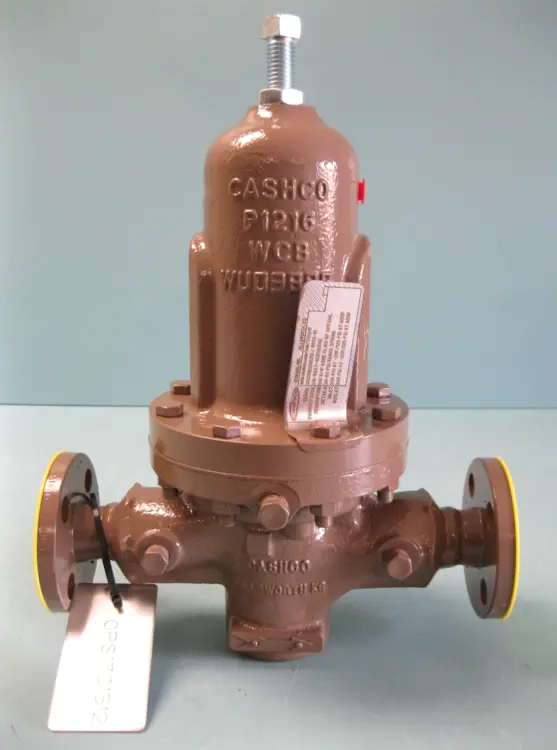 New | in-Stock Cashco D15-5XX7-4CX55156E Misc Electrical & Power Parts New Hampshire US | Bitter End Trading #1125534