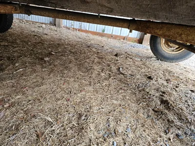 BALE WAGONS Bale Wagons | Iron Listing (9)