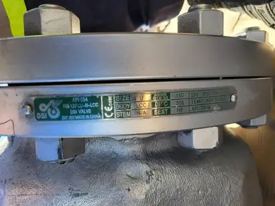 USED DSI VALVES API 594