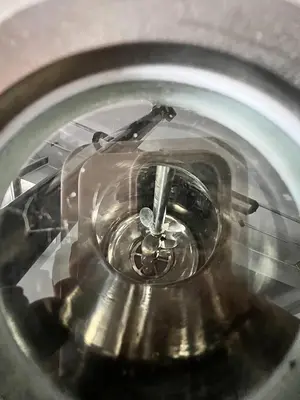 (2) 100 L Crystallization Reactor with Agitators and Controller