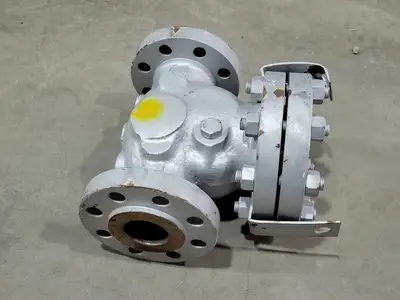 USED DSI VALVES 165 XU