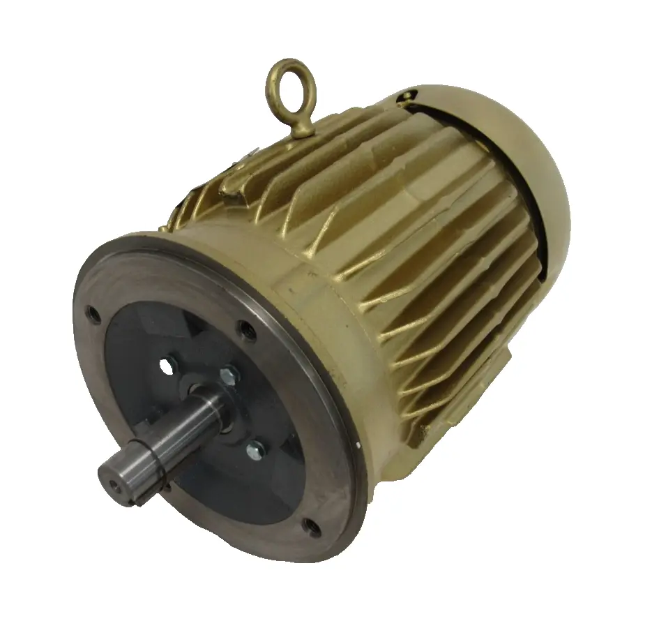 NEW BALDOR BALDOR VEM3665T
