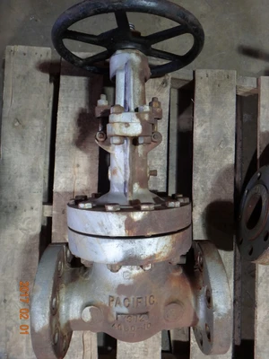 Pacific 4", Class 600, WCB, Gate Valve