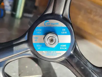 3/4" Class 900 Y-Pattern Check Valve B16.34