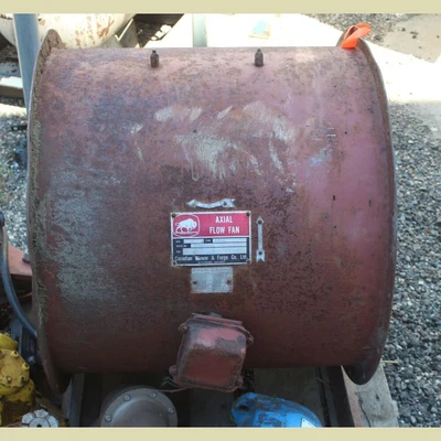 Canadian Buffalo Axial 24 in. Ventilation Fan