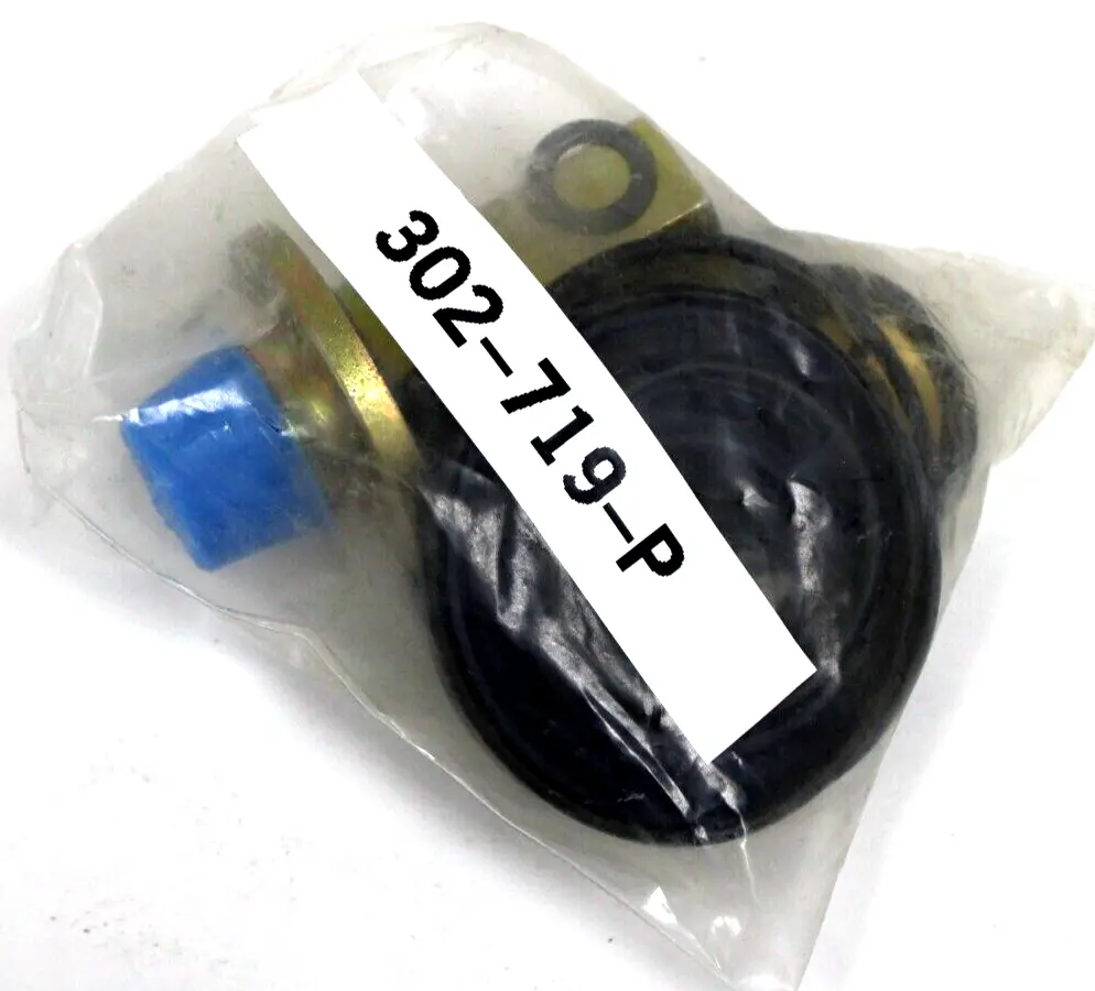 NEW ASCO 302-719-P REBUILD KIT 302719P