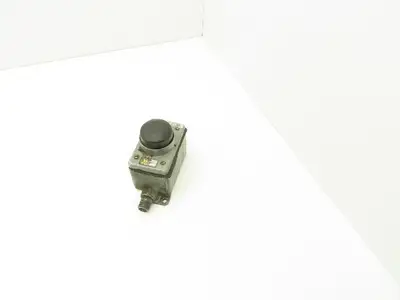 Micro Switch 2PH1 Momentary Push Button Palm Switch 600VAC