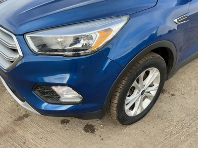 Used 2019 FORD ESCAPE SUVs Michigan US | Miedema Asset Management Group #1468617