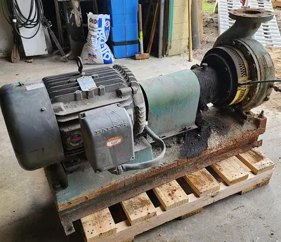 USED GOULDS 3196
