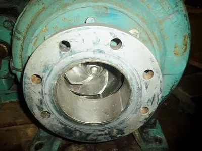 USED Goulds 3175