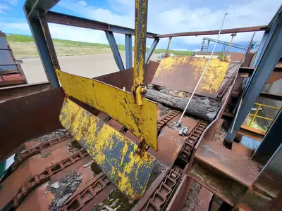 Infeed Log Conveyor for Chipper