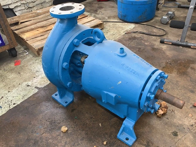 USED Goulds 3175