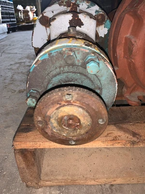 USED GOULDS 3196