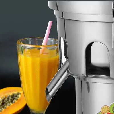 Commercial Juice Extractor Stainless Steel Juicer - Heavy Duty