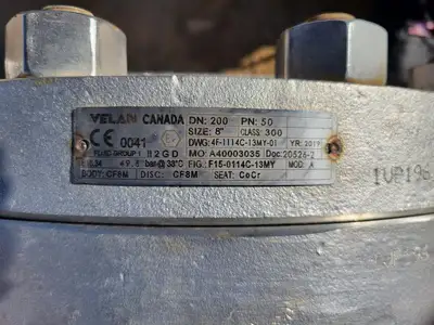 8" Class 300 Check Valve B16.34
