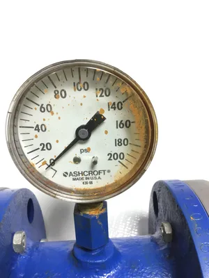 Ronningen Petter 20B Flange Bladder Coupling 0-200 PSI