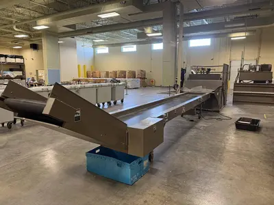 USED ALLEGHENY SORTING CONVEYOR