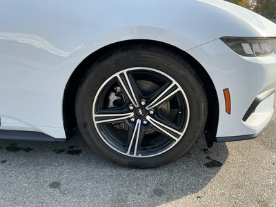 Used 2024 FORD MUSTANG Cars Michigan US | Miedema Asset Management Group #1579884