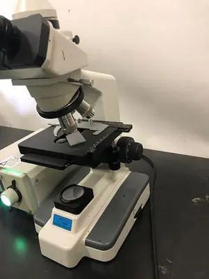Cole Parmer Microscope B2-SERIES